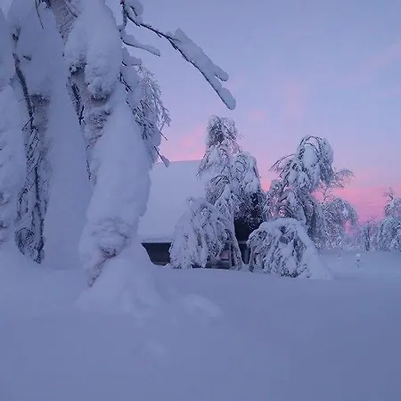 Galdotieva-seo Leppäjärvi